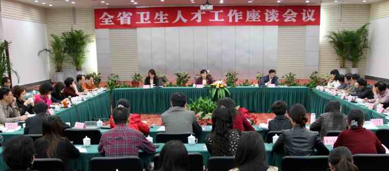 四川省全省卫生人才工作座谈会议在成都市召开
