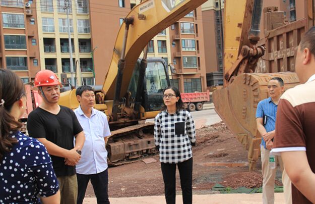 古蔺县人民政府副县长林燕督导检查卫健系统在建项目建设工作
